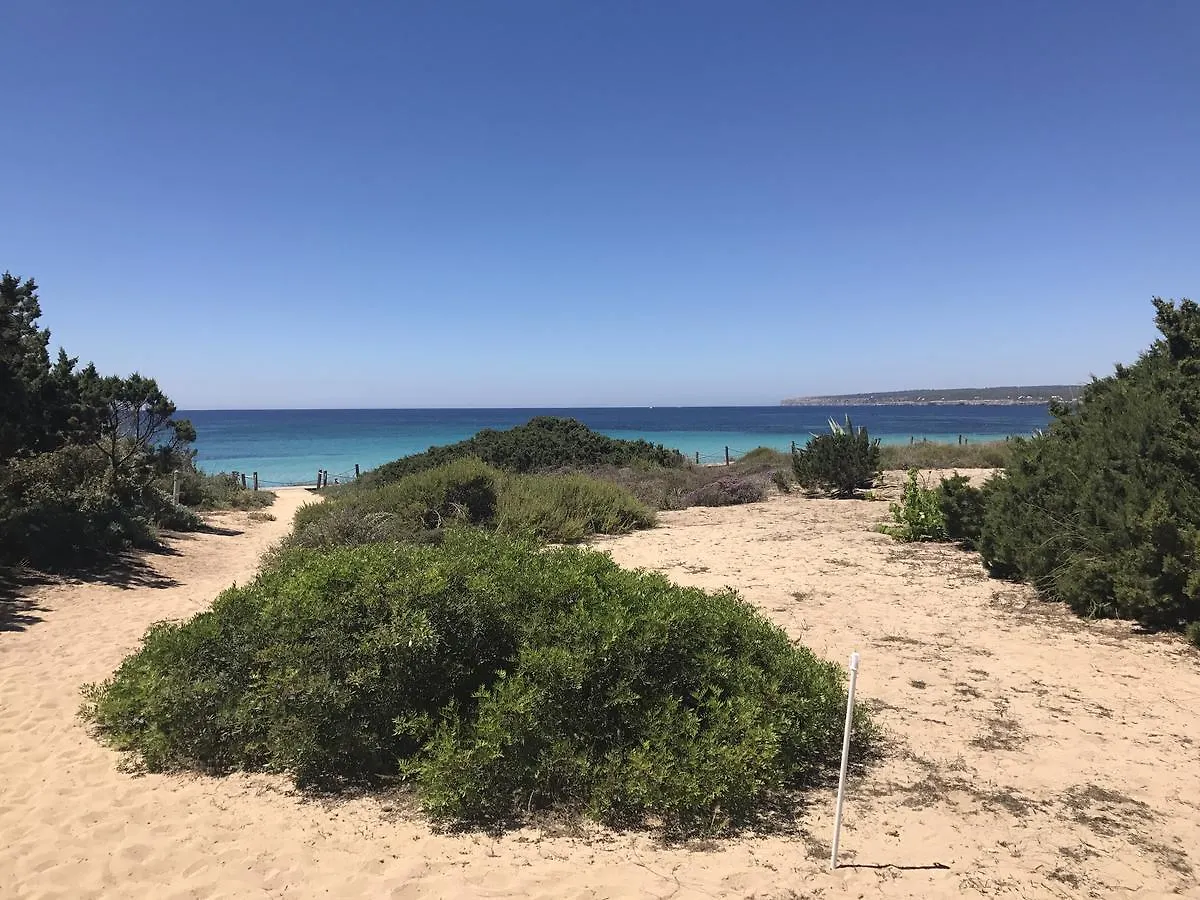 Apartment Ferienwohnung Talaya Formentera Playa Migjorn Spanien