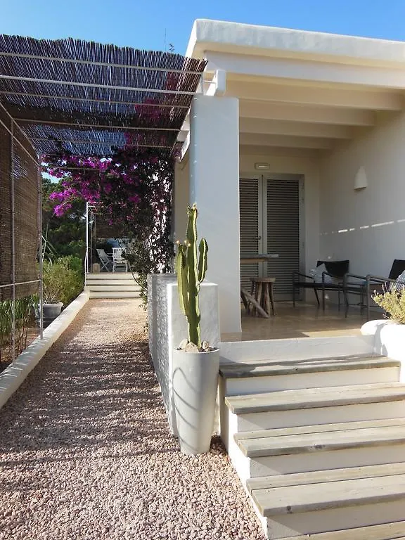 Talaya Formentera Apartment Playa Migjorn